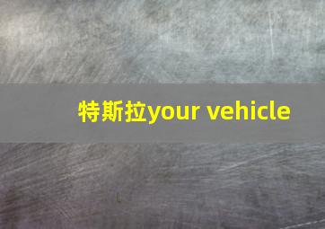 特斯拉your vehicle